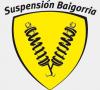 Foto de Suspension baigorria