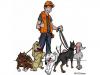 foto de Paseador de perros